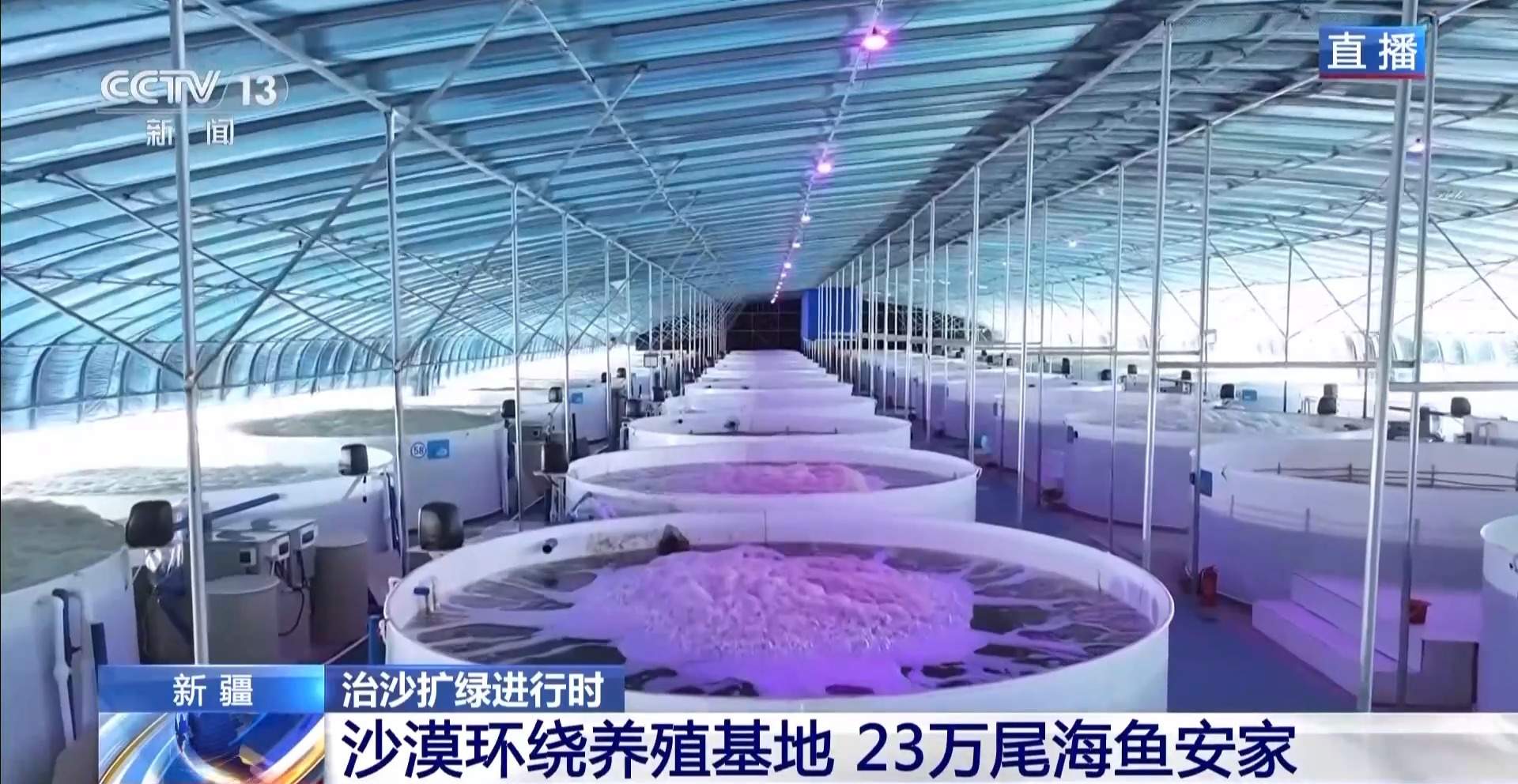 沙漠里如何养海鲜?解锁塔克拉玛干沙漠的水产养殖密码