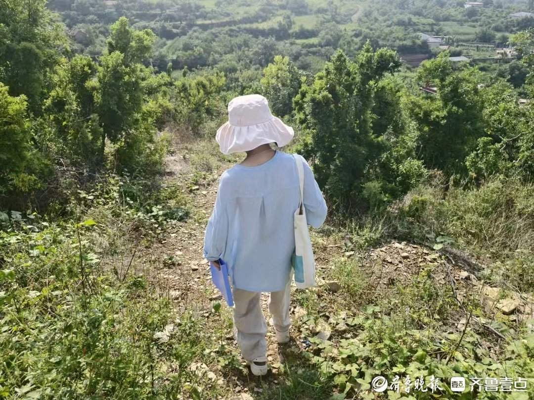 “枣医生”于婷娟:凌晨五点奔山路,妙手回春治疯树