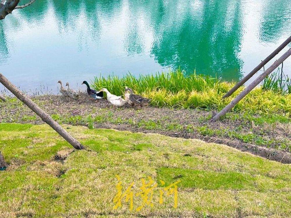 白泉涌沙的“世外桃源”，即将揭开面纱