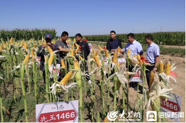 粮满仓·好丰光丨新农人：滨州赵培国深耕土地30载 带动更多农户增收