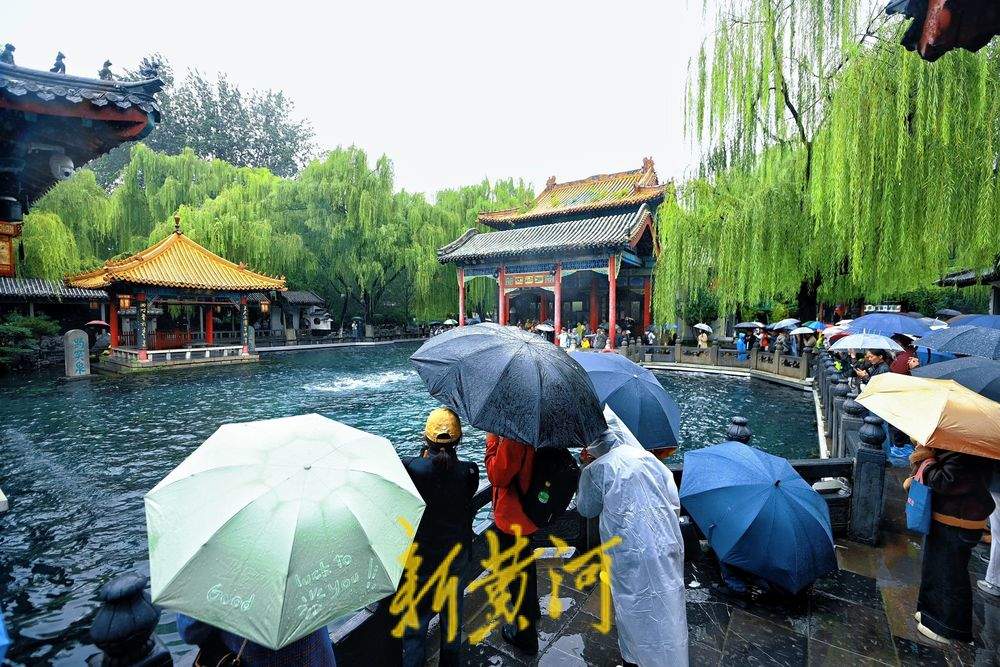 “撒欢儿”奔涌 济南趵突泉地下水位半个月上涨87厘米 