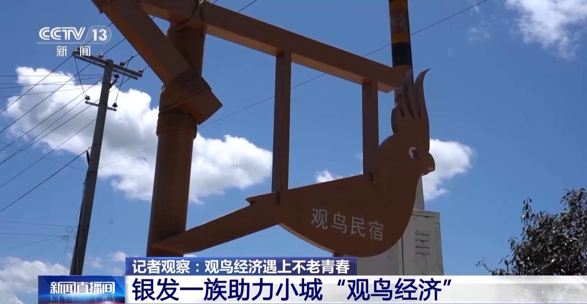 公园长满“打鸟”大爷 银发一族助力小城“观鸟经济”