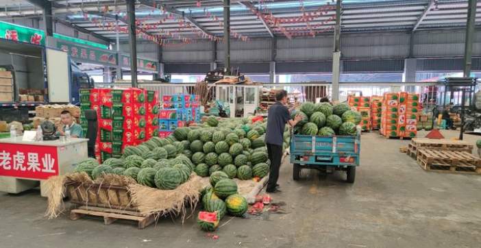 1元/斤的西瓜难寻，济南市场瓜价悄然回升
