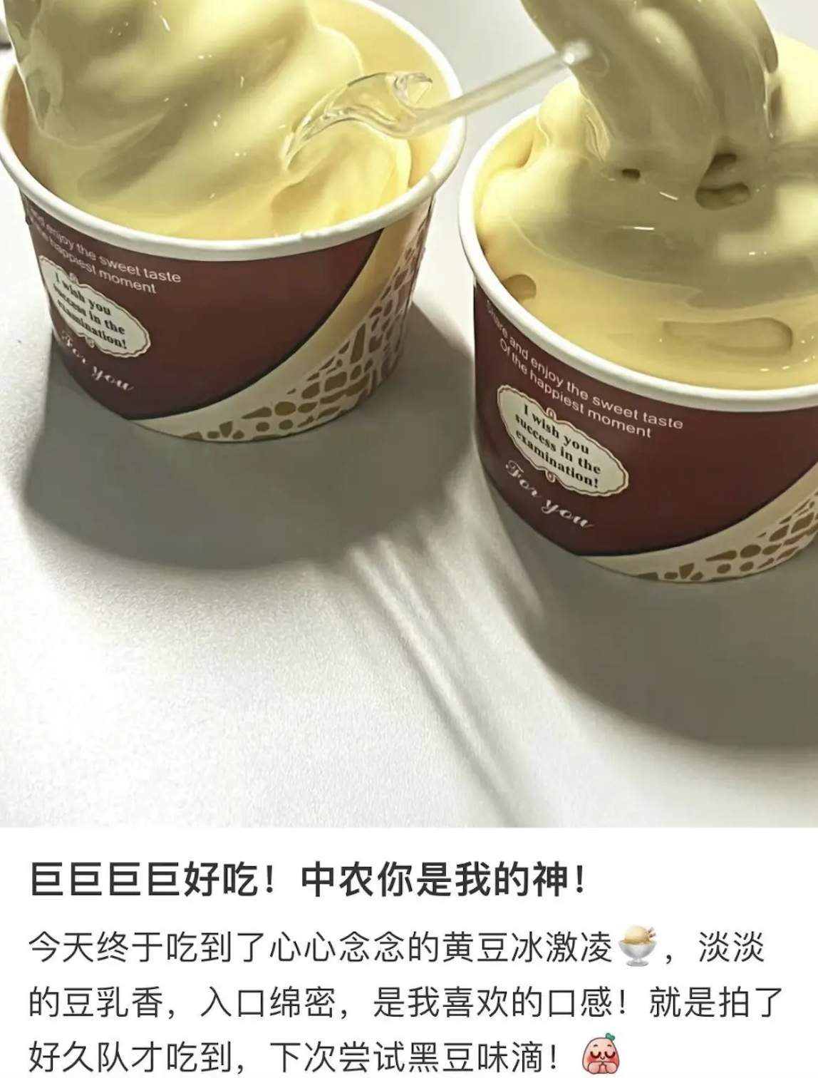 中国农业大学的大豆冰淇淋被夸“巨巨巨好吃”