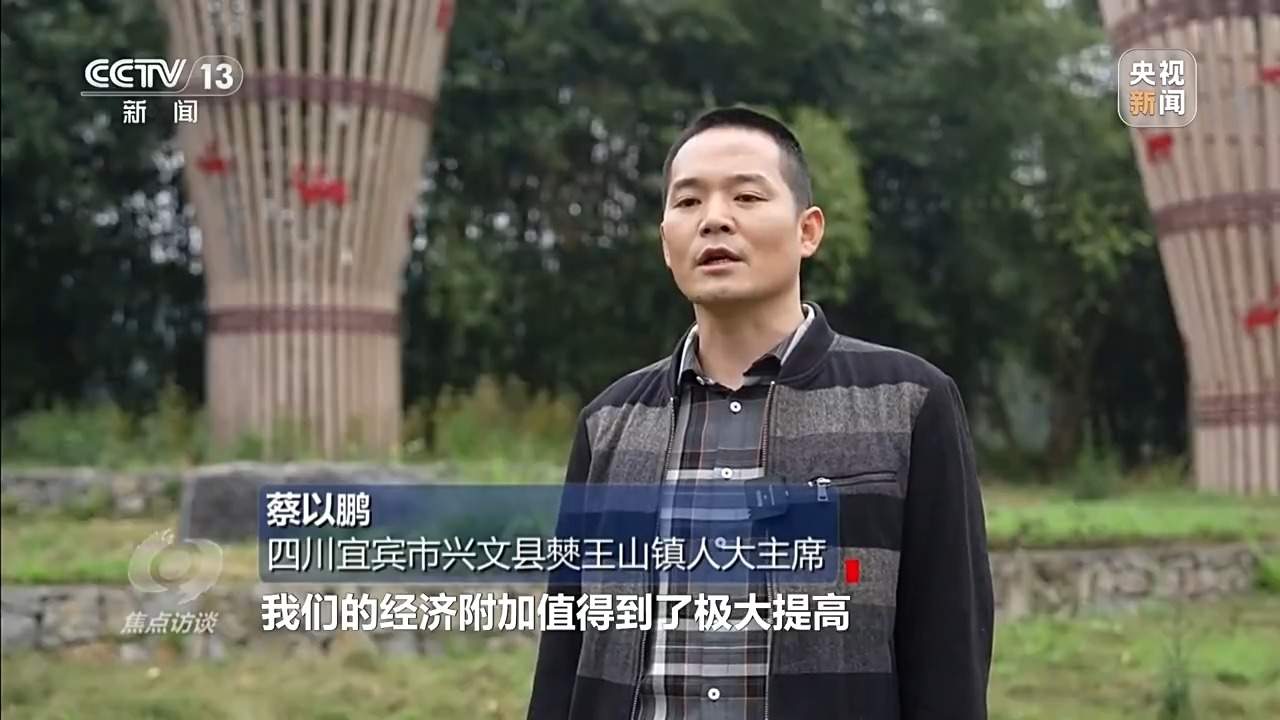 焦点访谈丨从春天出发 春日经济供需两旺活力足