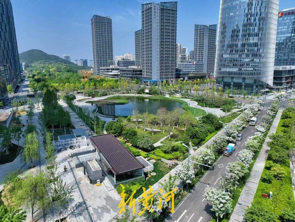 繁花似锦、绿意盎然，济南中央商务区地铁站被“浪漫”包围