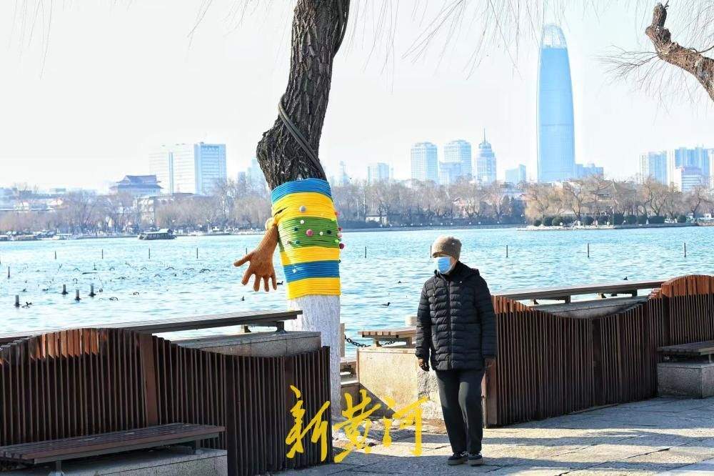 济南大明湖冬柳穿新衣！色彩斑斓织出多彩冬天