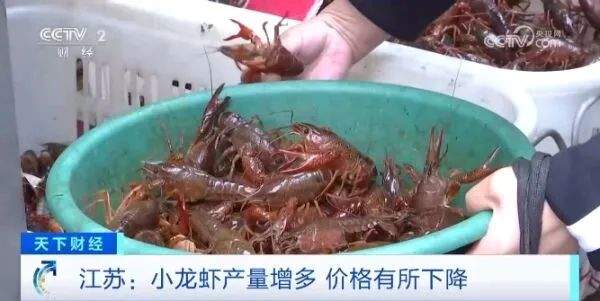 建议一次食用小龙虾不超10只