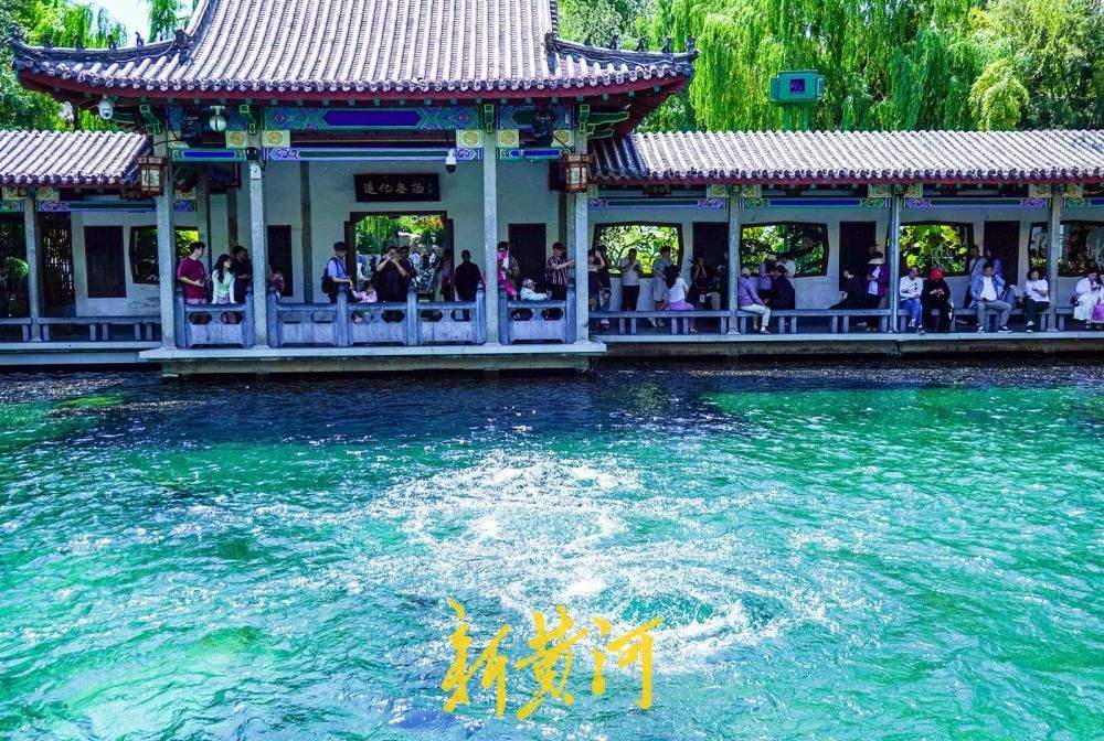 趵突泉持续喷涌23周年影像志：一泓清泉，脉动济南