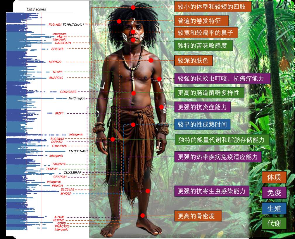 中国科学家牵头，这一人群基因组被破译！