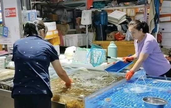 山东沿海正式开海，第一口“鲜”何时到济南？
