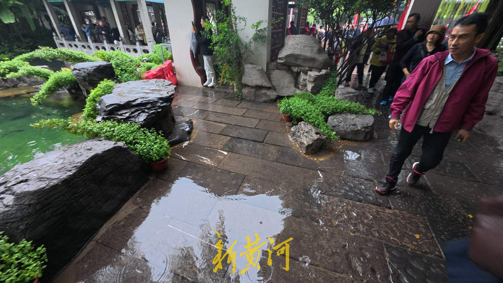 水位上涨泉水喷涌发力 溢出泉池涌入岸边路