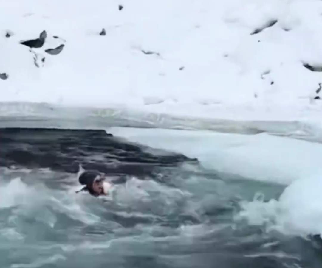 新疆喀纳斯景区通报母女越过警戒线拍照落水：及时救助上岸，身体状况平稳