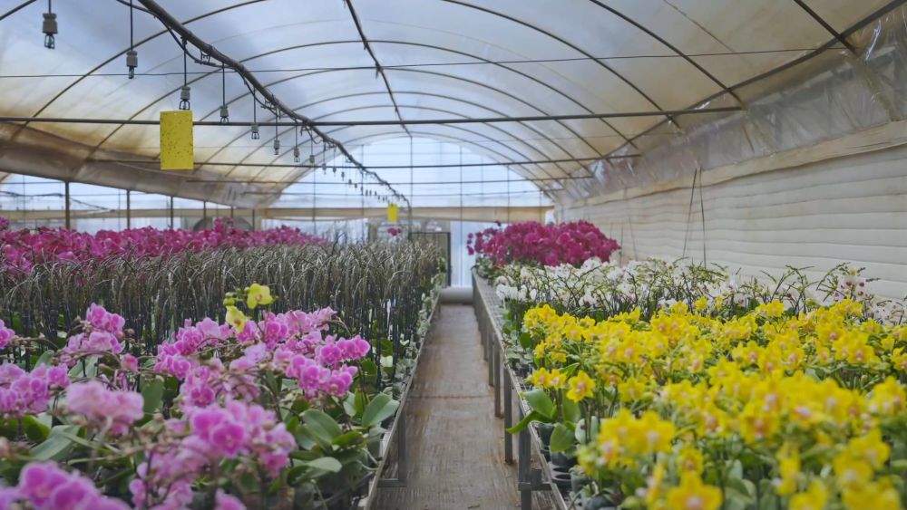 新华视点|2026开局暖人心:消费旺 服务优 基建稳