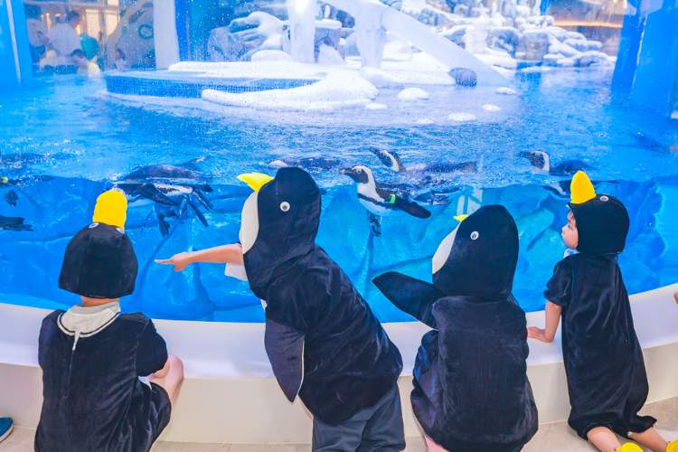 暑期旅游旺季来了:长线游占比超7成,免签国家一图读懂