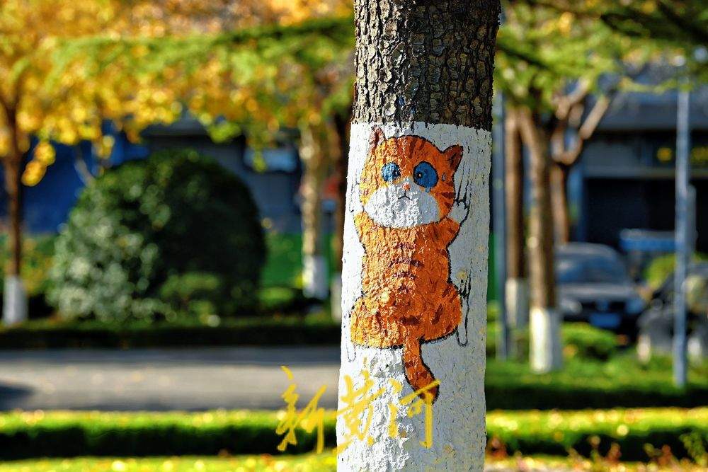 “熊猫爬树”“青蛙放气球”……济南奥体中心巧绘冬日树景