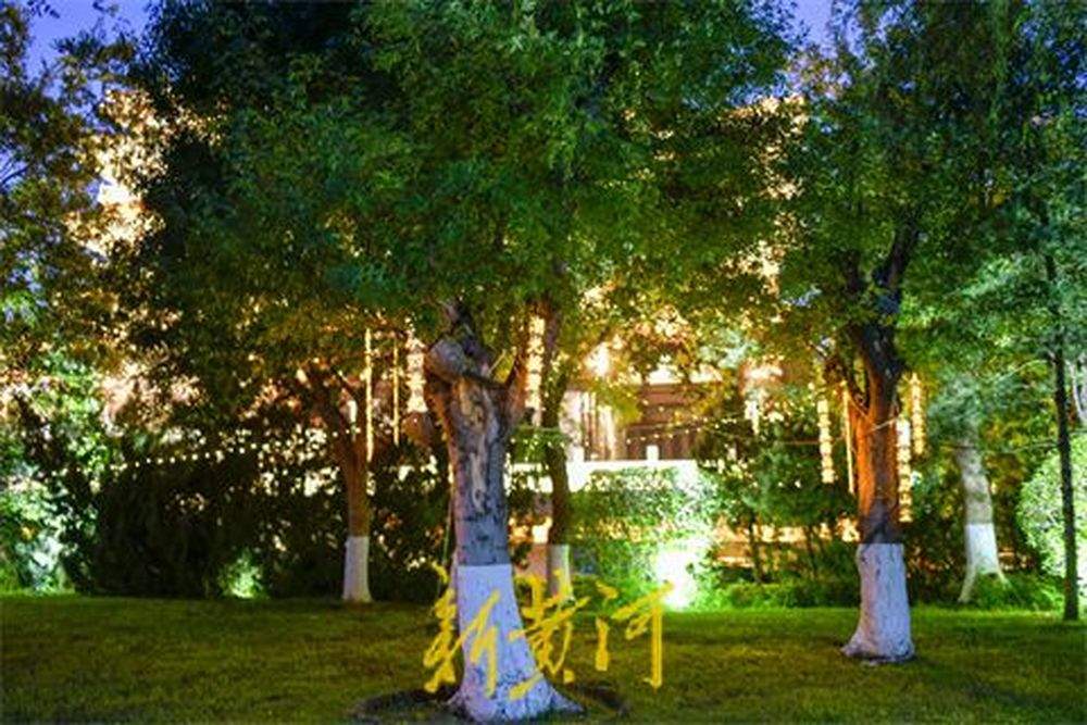 把“二安”诗韵挂上枝头，诗词彩灯点亮大明湖畔