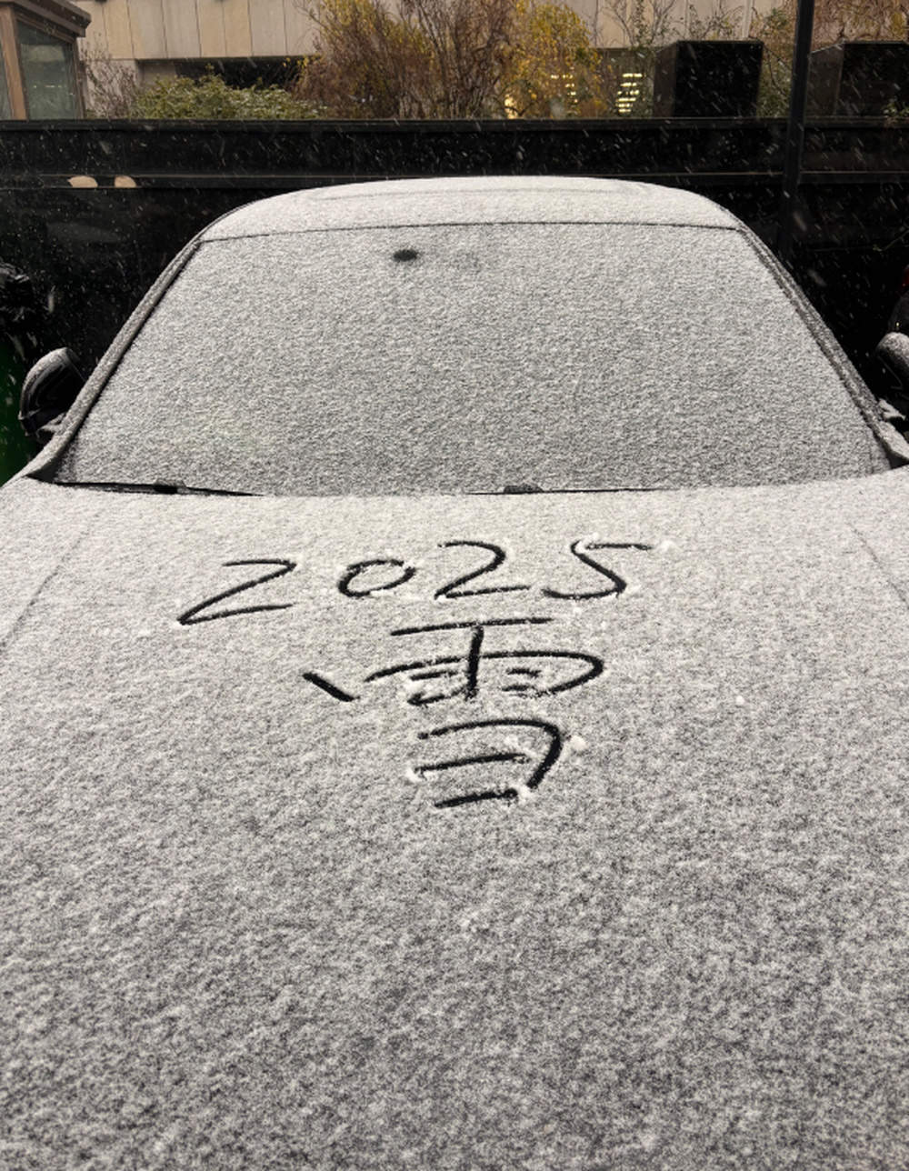 初雪降泉城，来看济南府