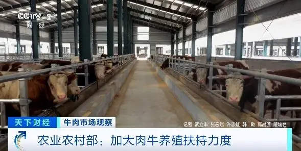 每公斤68.31元，牛肉价格跌至近5年来最低