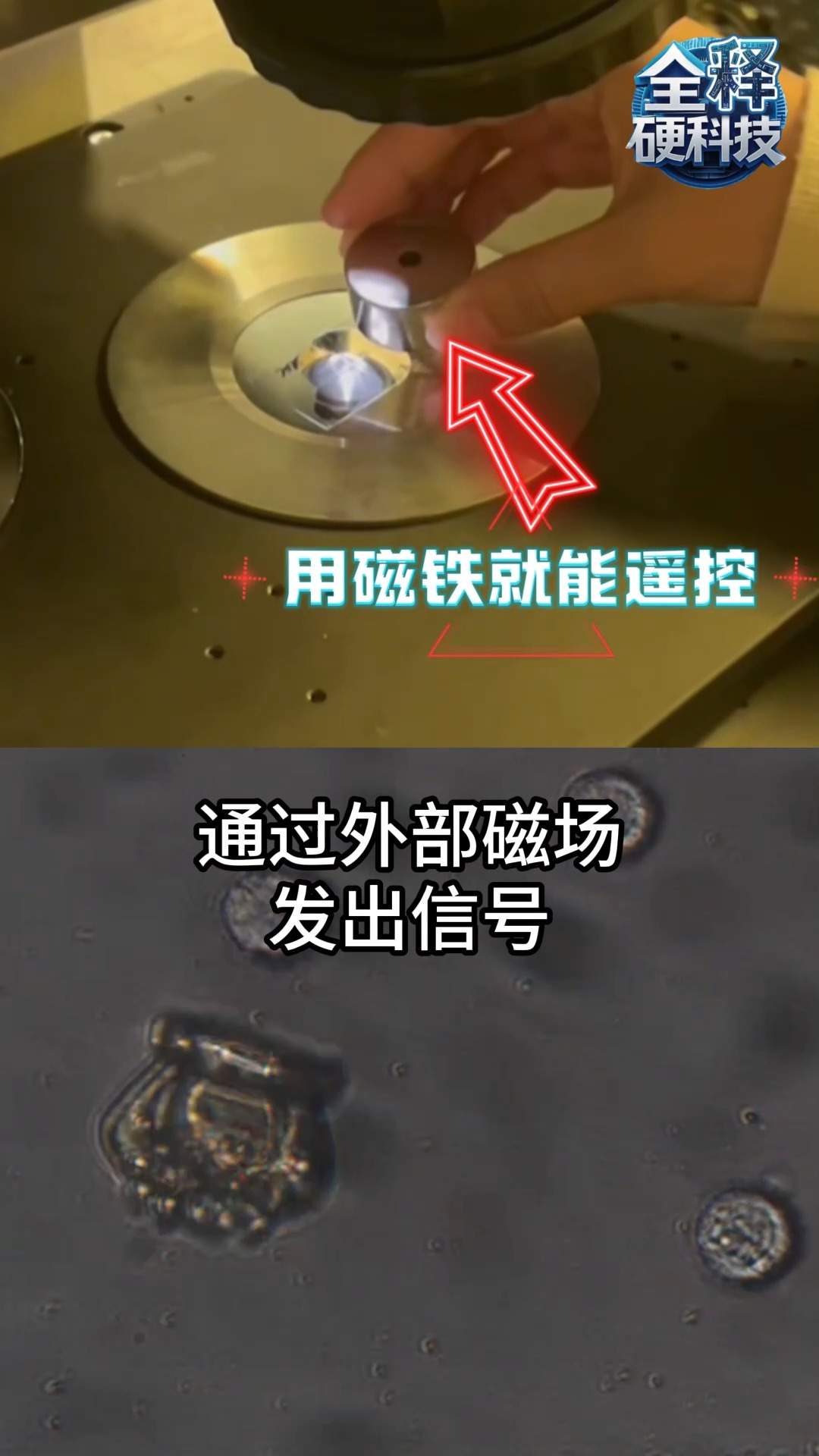 梦想照进现实！这款微纳机器人让“吞下纳米医生治病”成为可能