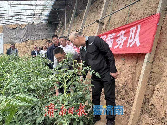 三级梯次培育 三体融合成长 三地功能定位 济南科技小院激活乡村振兴新引擎