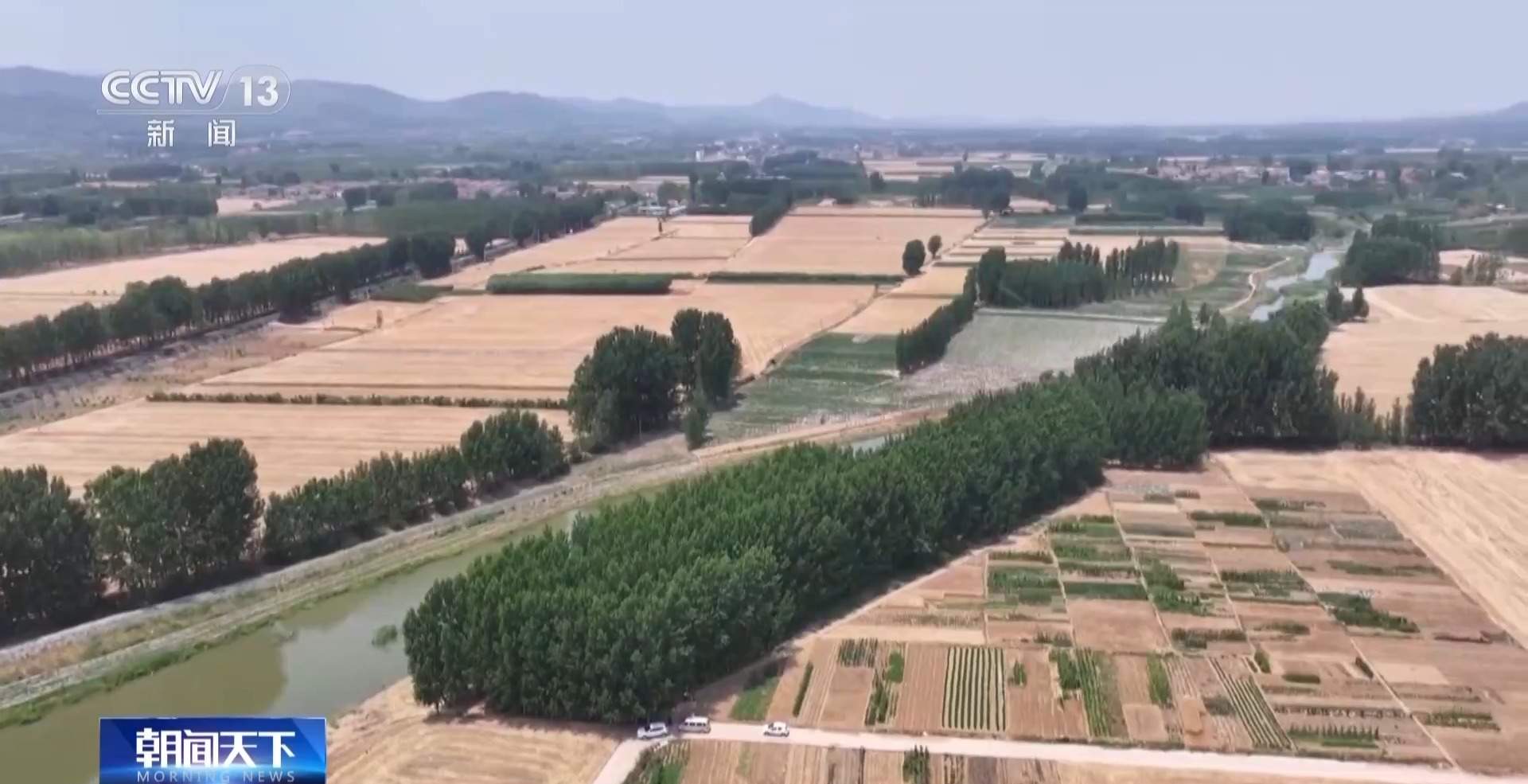夏播遭旱情 各地全力调水确保“种足种满”