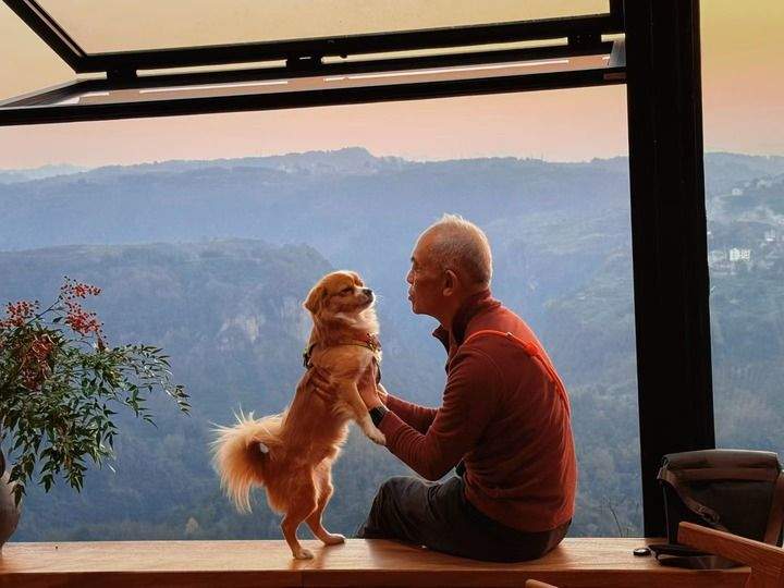 携宠旅行潮起，千亿宠游市场如何驶向新蓝海？