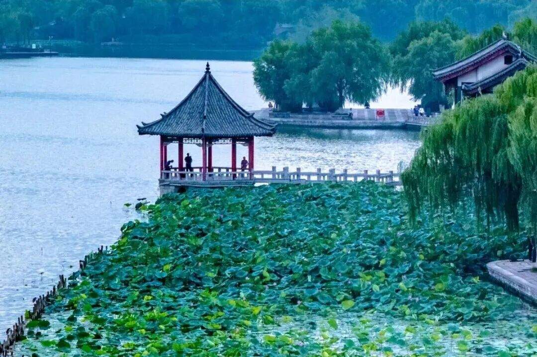 初秋已至，赴一场泉城之约