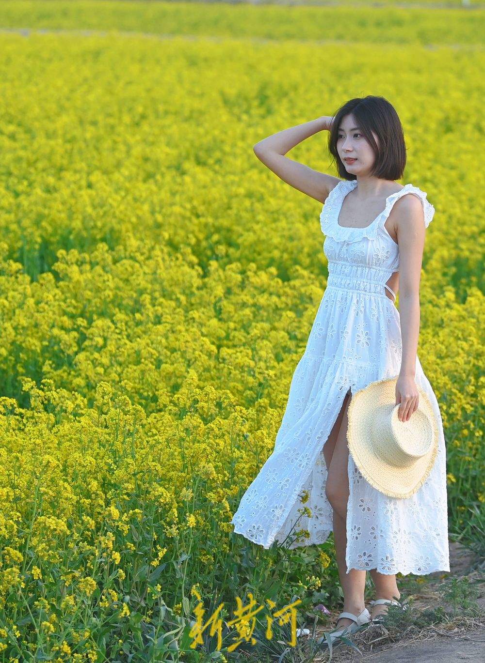 清明踏青赏花正当时 金色油菜花海引客来