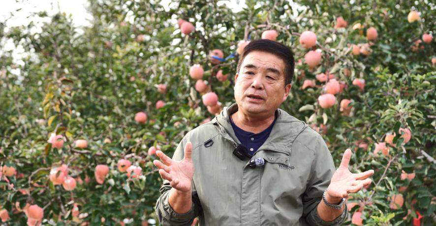 寻味之旅第三站|烟台沃森农业科技有限公司:百年传承,延续烟台苹果产业匠心