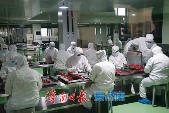 城“新”乡“兴”向未来｜走进莱芜区：红绿交融的乡村振兴之路