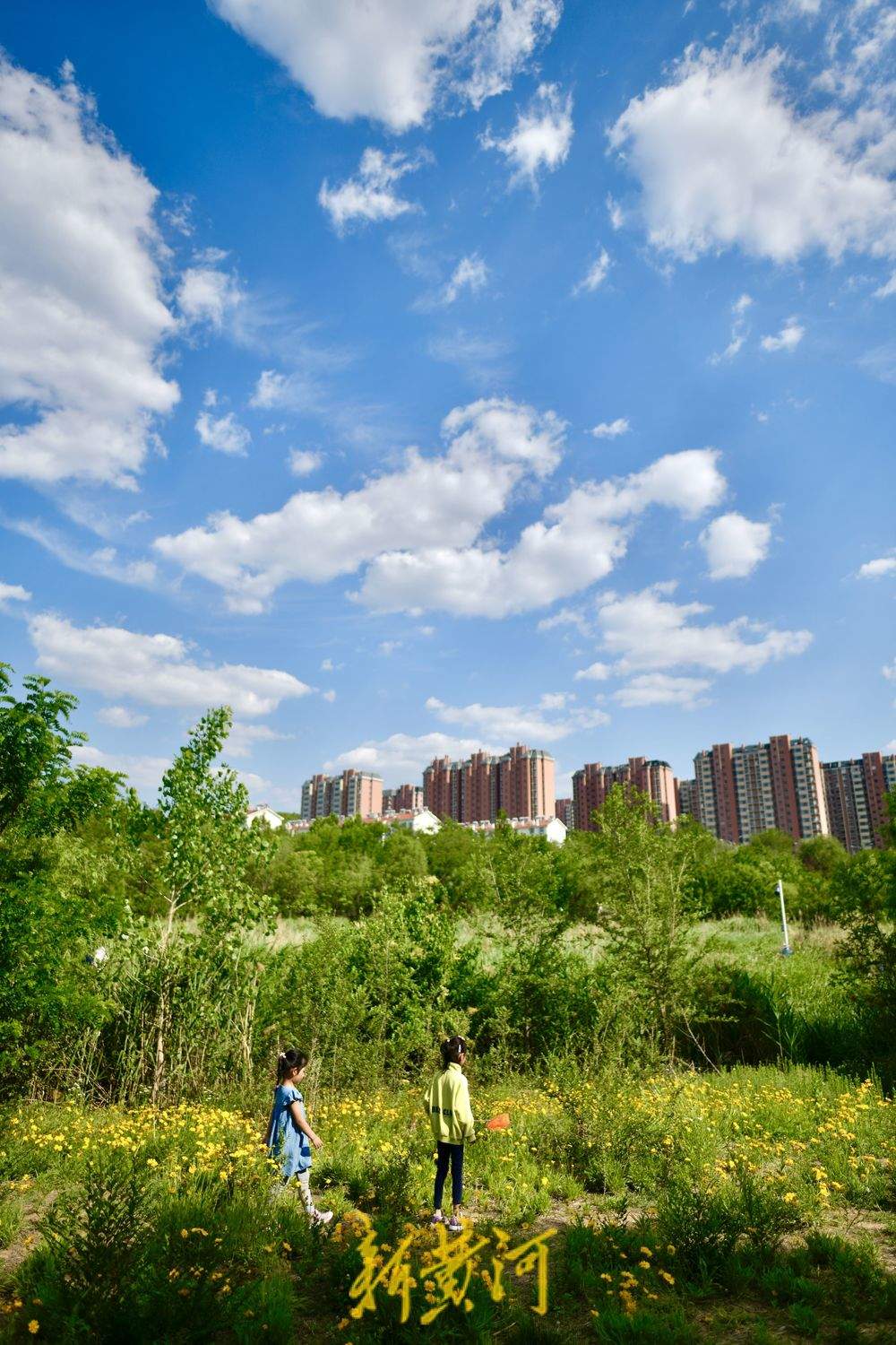 泉城初夏限定美景，蓝天白云悠悠入画来