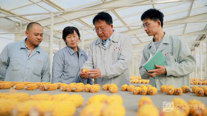 经济大省挑大梁·高手在“民”间|五谷丰登,诠释何以“新鲁商”