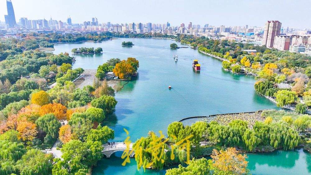 深秋济南大明湖彩叶交织 绘就泉城绝美胜景