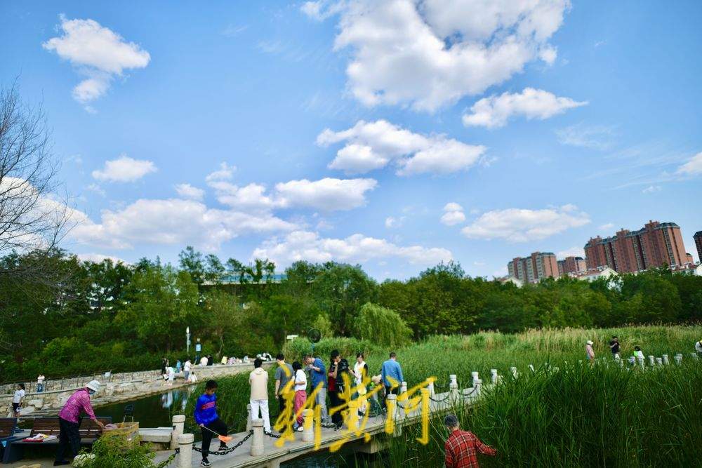 泉城初夏限定美景，蓝天白云悠悠入画来