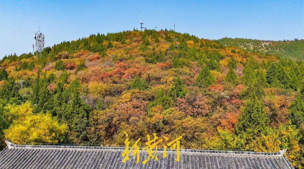 济南郎茂山红叶漫山，秋意正浓