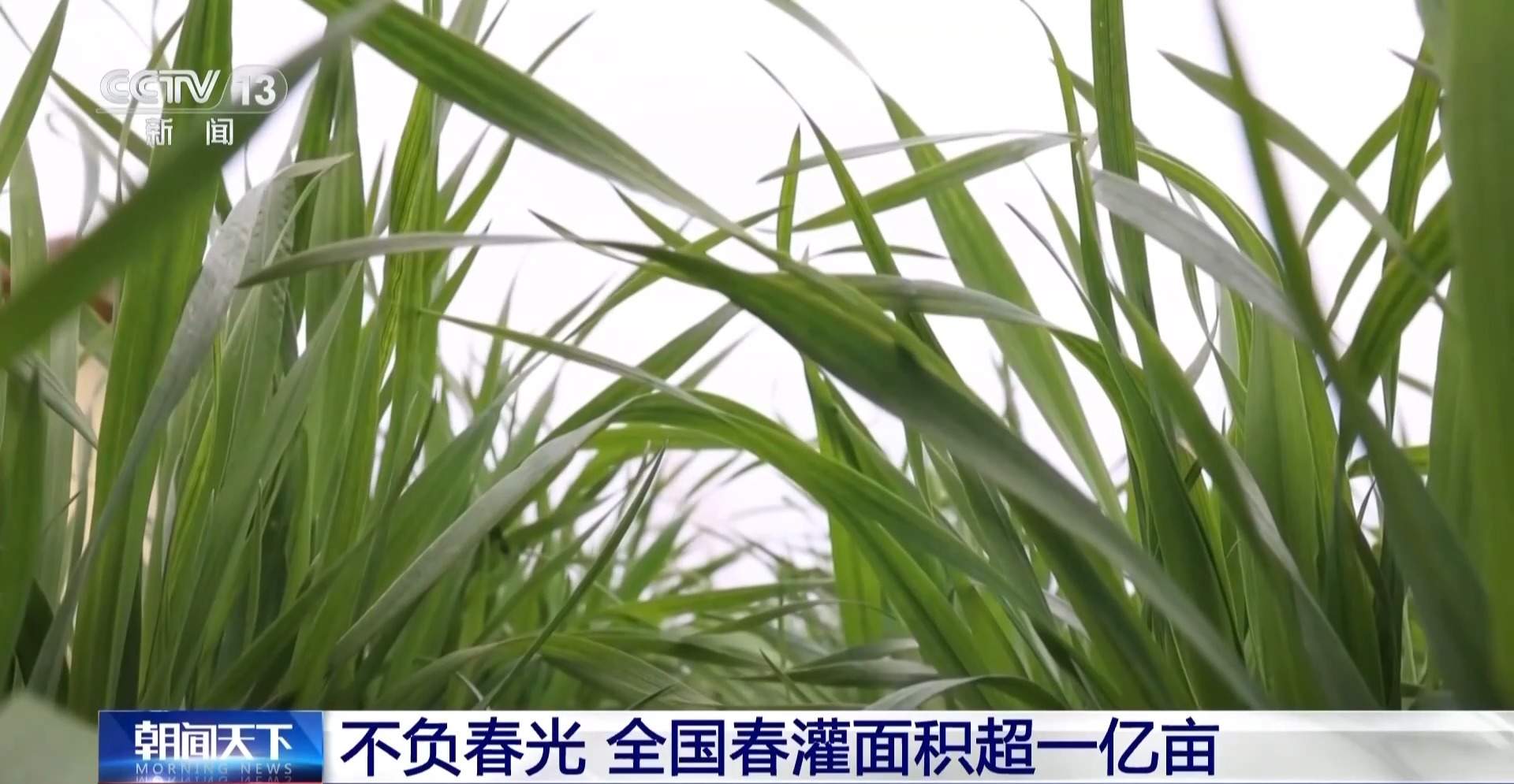 春灌用上黑科技 全国超亿亩农田高效“解渴”