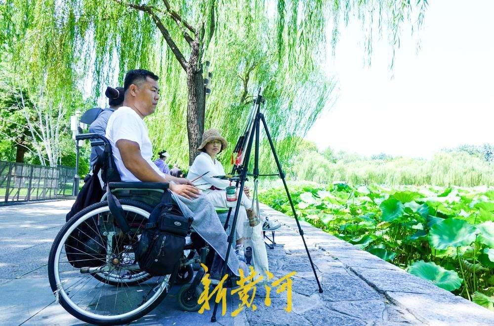 济南：轮椅上的画师做客大明湖畔 团扇上绘画荷花传递生命力量