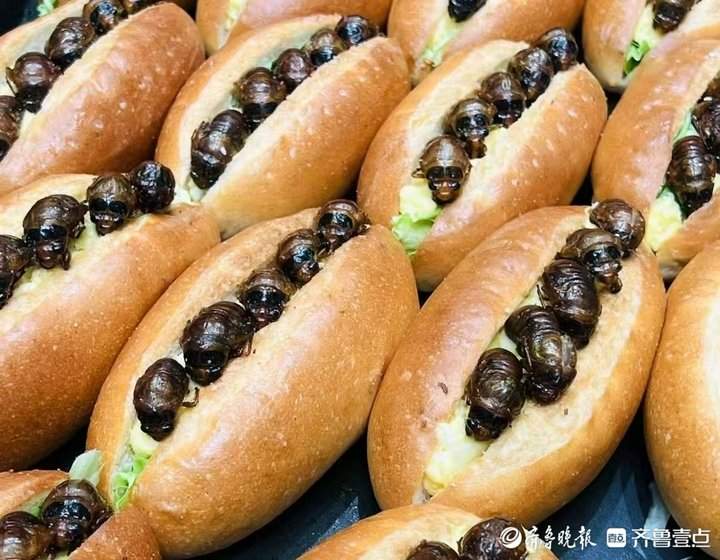 一天吃掉数万只，金蝉如何从林间虫变身“餐桌流量王”