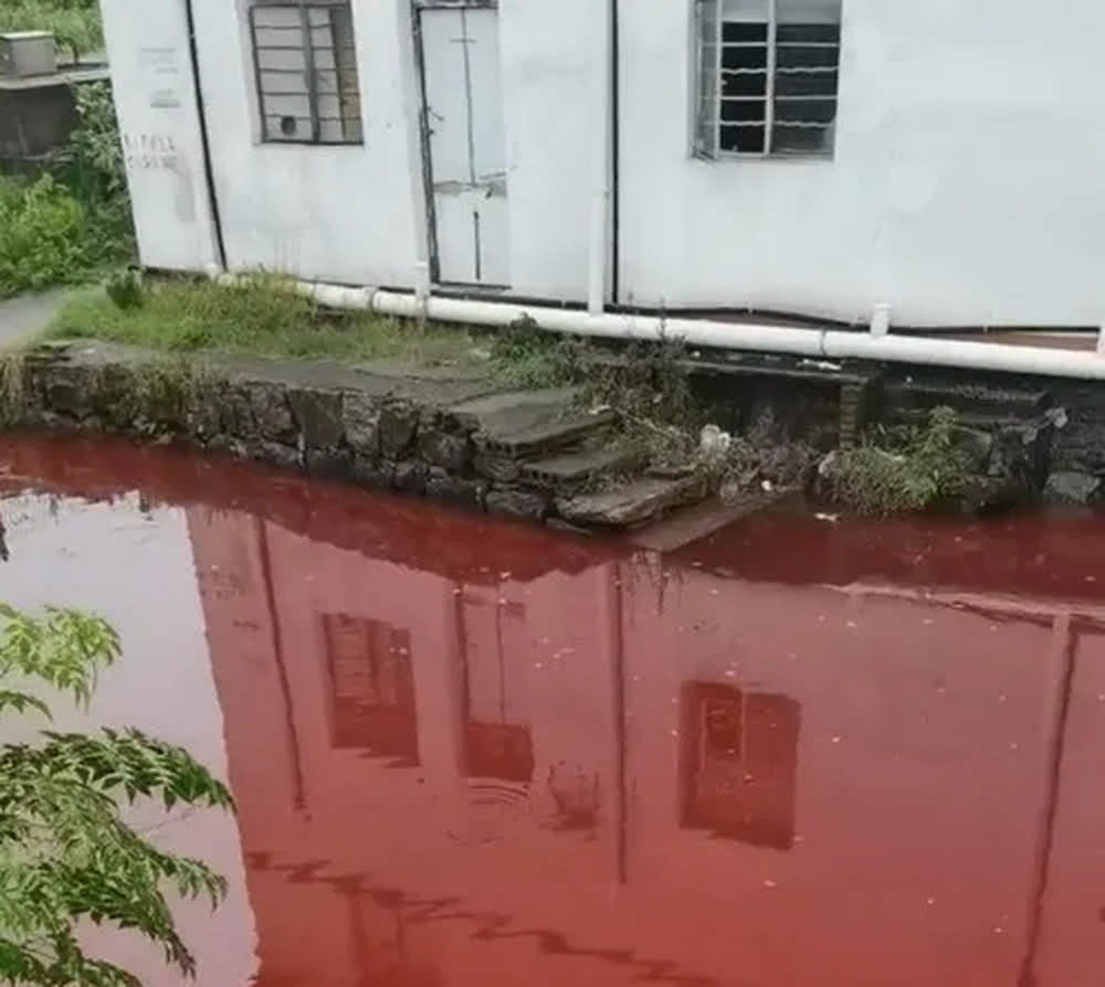 杭州一河段河水呈异常红色，当地多方回应