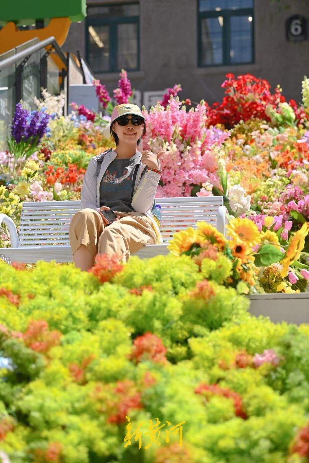 花境入画 济南老商埠“莫奈花园”上演初夏浪漫