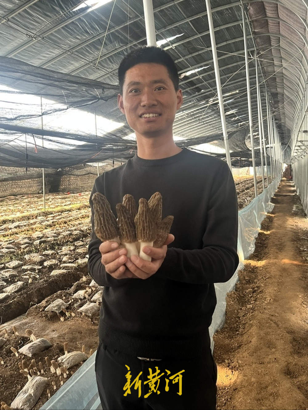 亩产增收数万元,小小羊肚菌撑起“致富伞”