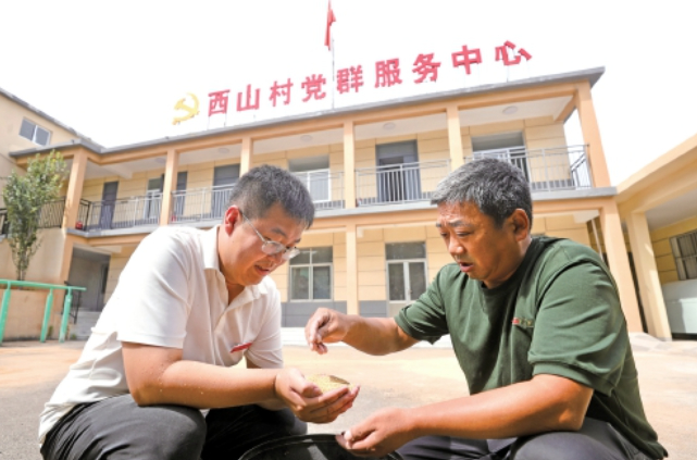 西山村：机器响、产业兴、游客来农文旅融合铺就致富路