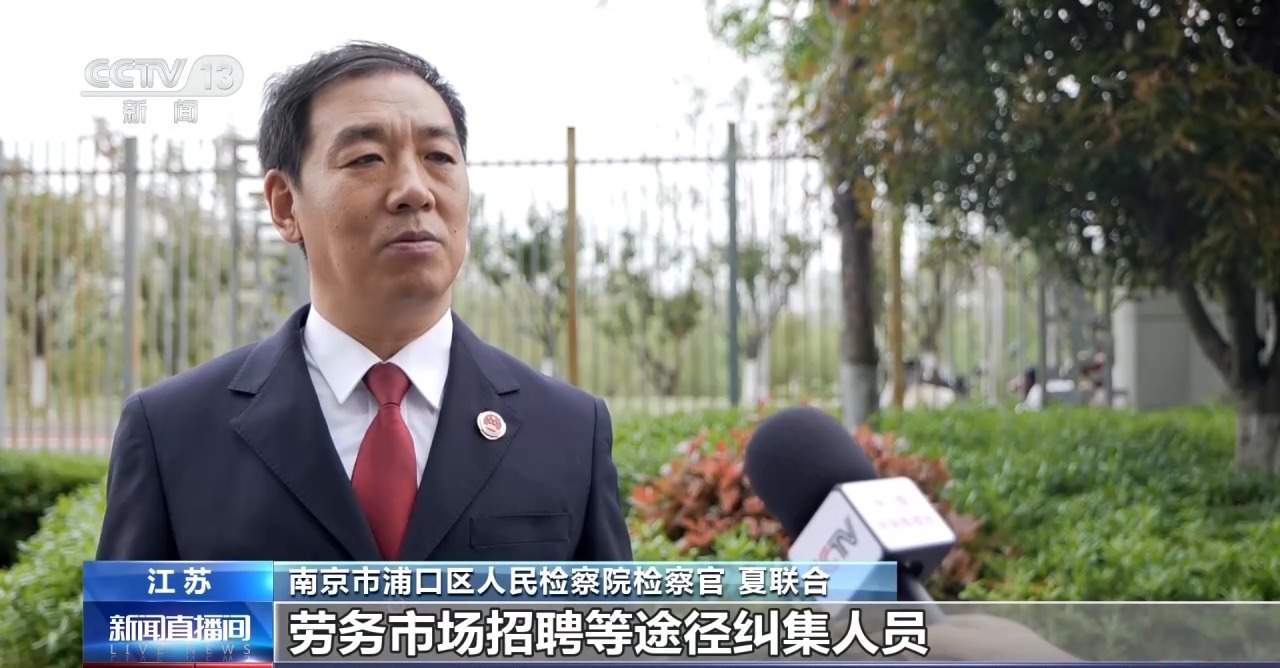 谐音设局+强买强卖 售卖假鹿茸犯罪团伙28人全部获刑