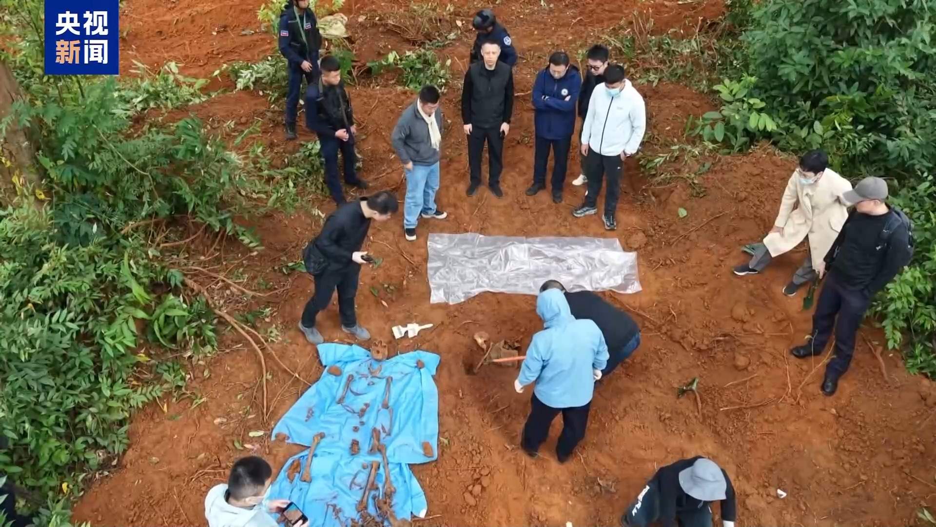 一审3人被判死刑!缅北魏家犯罪集团覆灭始末