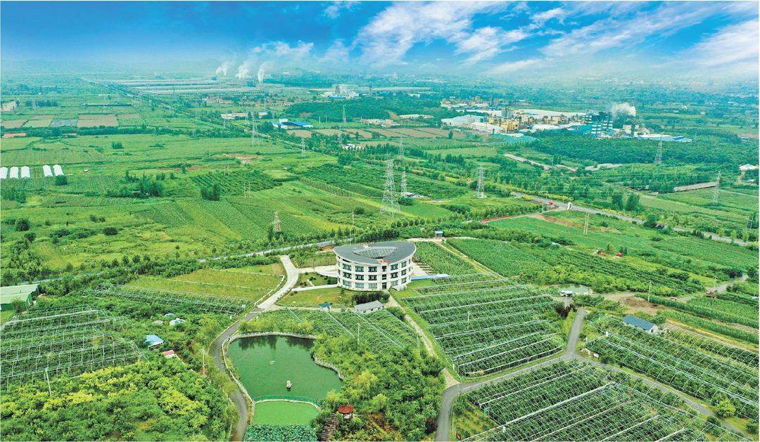 “四连优”+“四连冠”！2024年山东生态环境公报“沉甸甸”