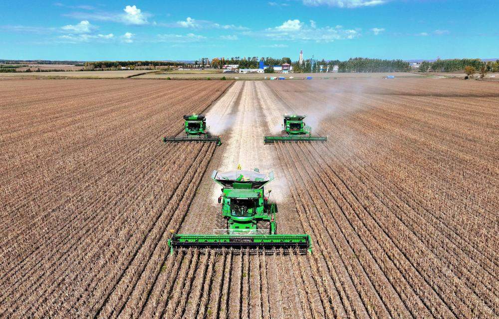 数览中国脉动｜粮稳天下安！“大国粮仓”高位增产