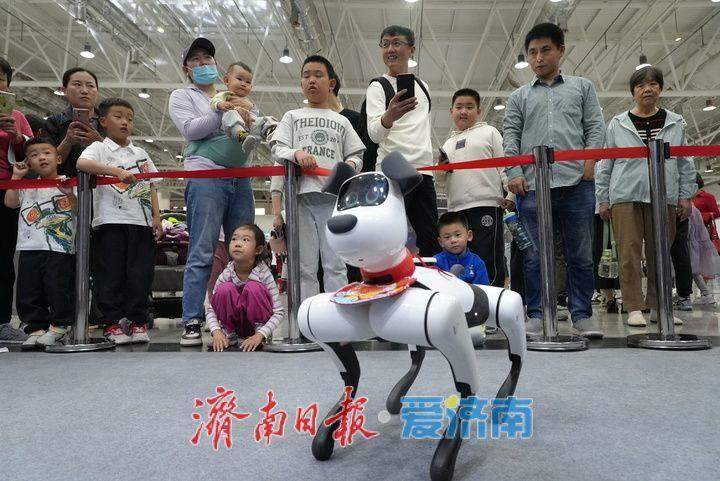 AI智能机器人齐聚泉城 AI智能科普展开启科技盛宴