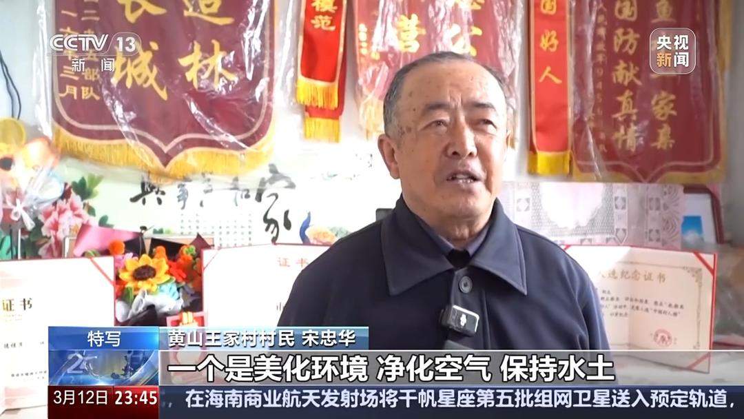 81岁山东村民植树二十载，无偿捐赠价值近百万红松树