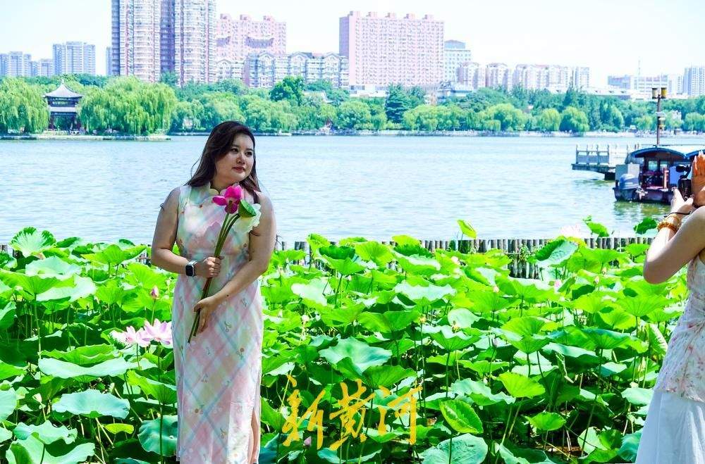 盛夏赏荷正当时，大明湖畔“荷花经济”悄然走红
